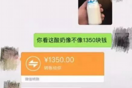 博尔塔拉专业讨债公司有哪些核心服务？